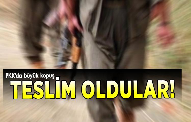 PKK'da büyük kopuş