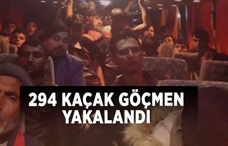 294 kaçak göçmen yakalandı
