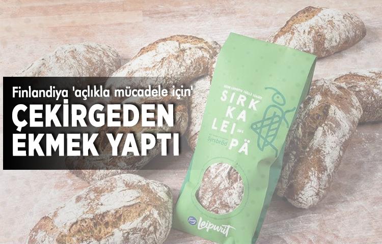 Finlandiya 'açlıkla mücadele için' çekirgeden ekmek yaptı