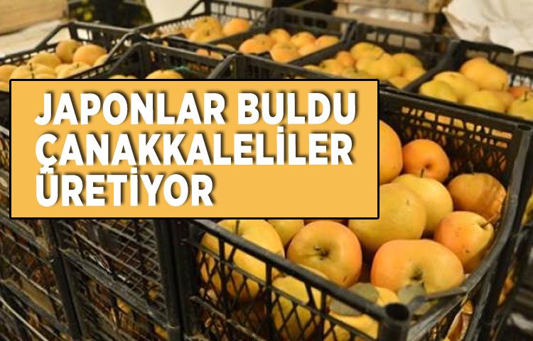 Japonlar buldu Çanakkaleliler üretiyor