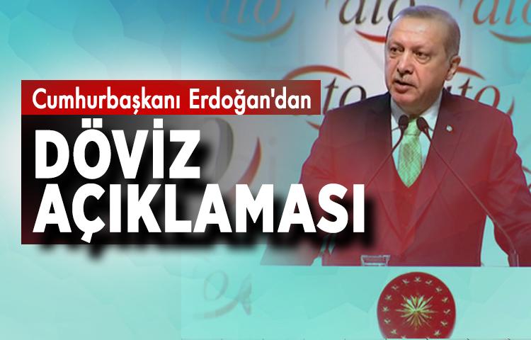 Cumhurbaşkanı Erdoğan'dan döviz açıklaması