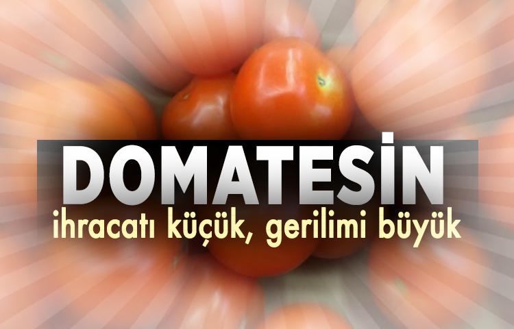 Domatesin ihracatı küçük, gerilimi büyük   