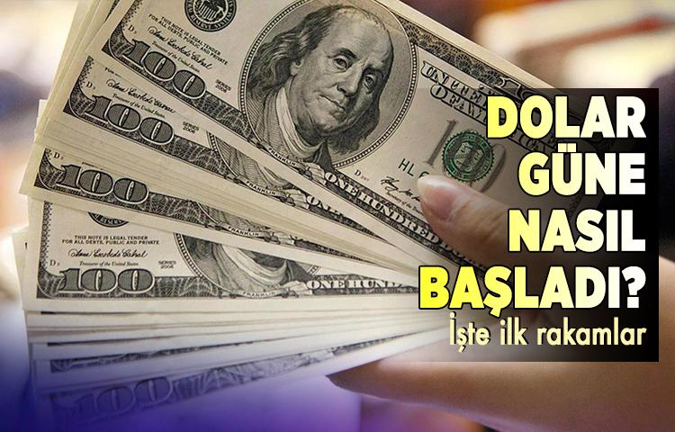 Dolar yeni güne sakin başladı