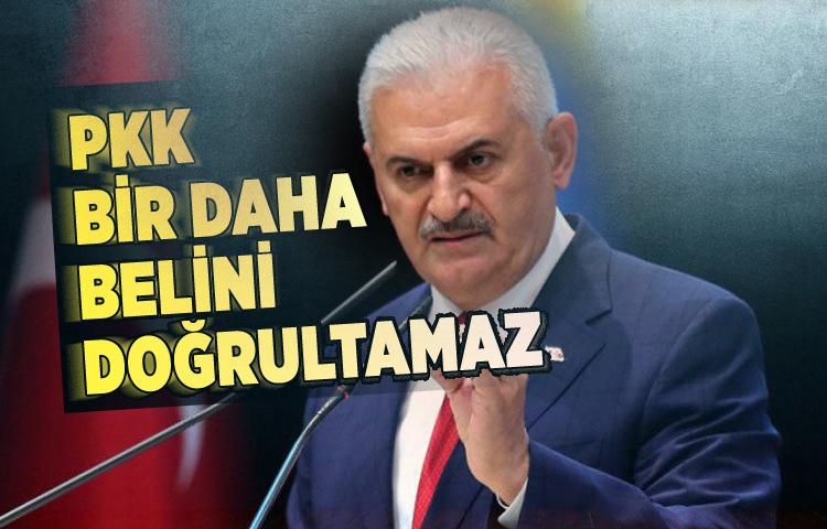 PKK bir daha belini doğrultamaz