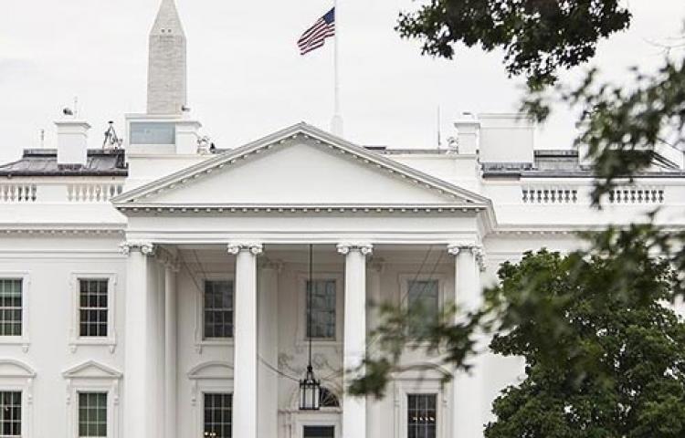 Haşereler Beyaz Saray'ı bastı