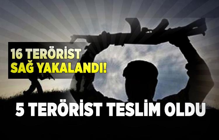 16 terörist sağ yakalandı! 5 terörist teslim oldu