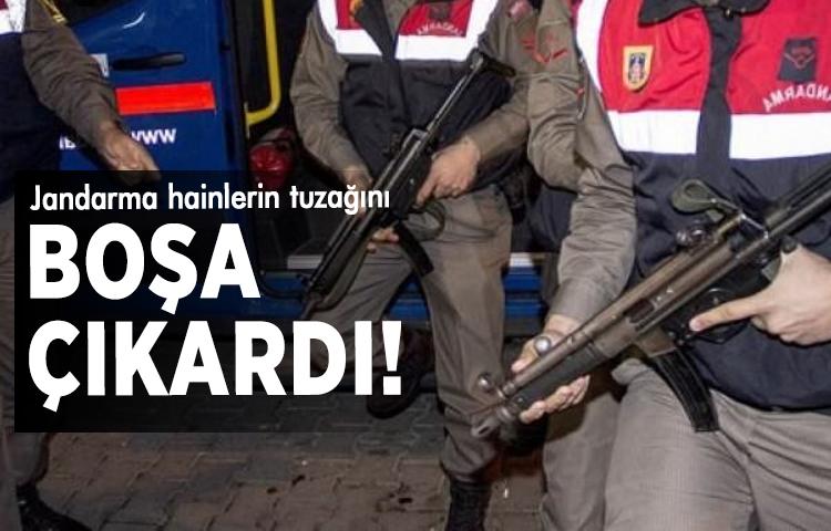 Jandarma, hainlerin tuzağını boşa çıkardı!