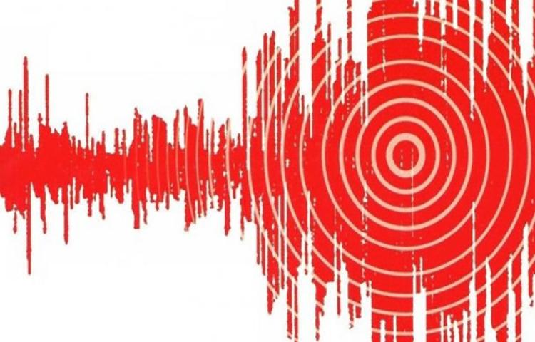 Muğla ve Gaziantep'te deprem