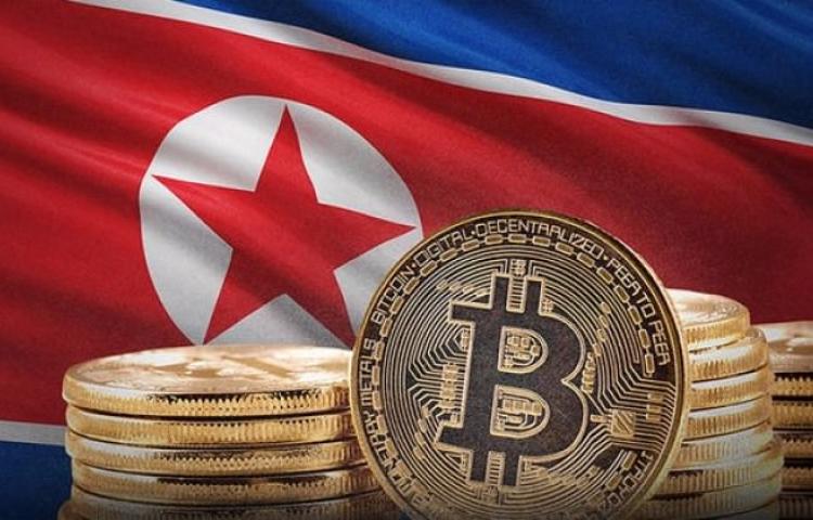 K.Kore'de Bitcoin iddiası!