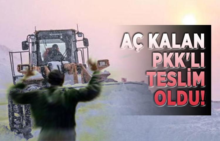 Aç kalan PKK'lı teslim oldu!