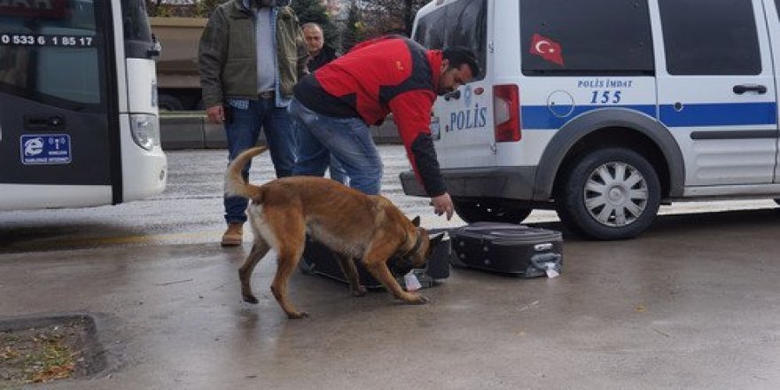 Valizden 2 adet mayın çıktı