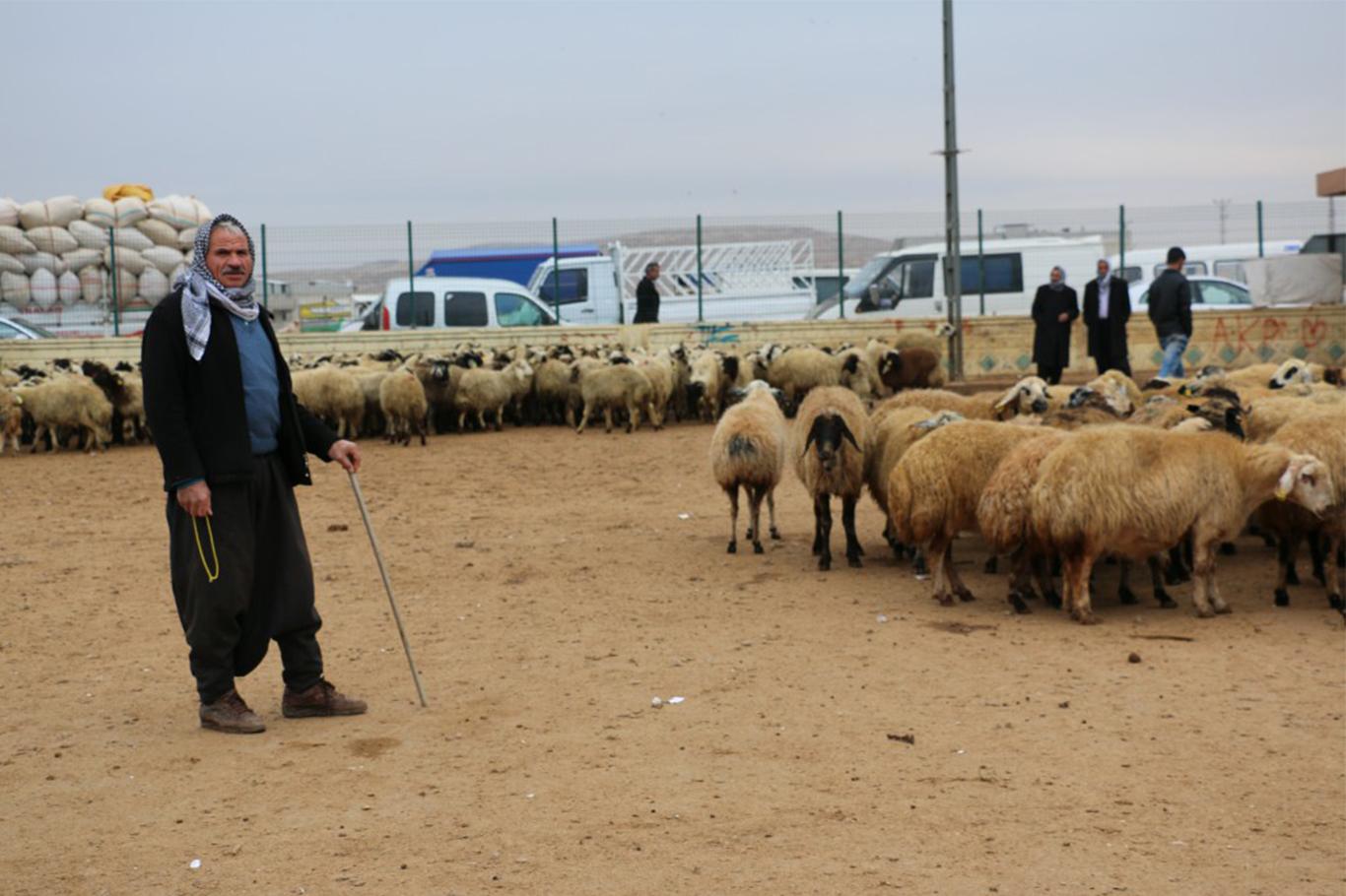 Yerli besiciye devletten destek