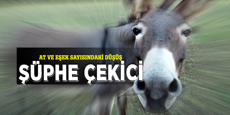 At ve eşek sayısındaki düşüş şüphe çekici
