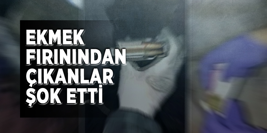 Ekmek fırınından çıkanlar şaşkına çevirdi