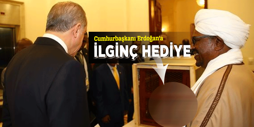 Cumhurbaşkanı Erdoğan'a ilginç hediye