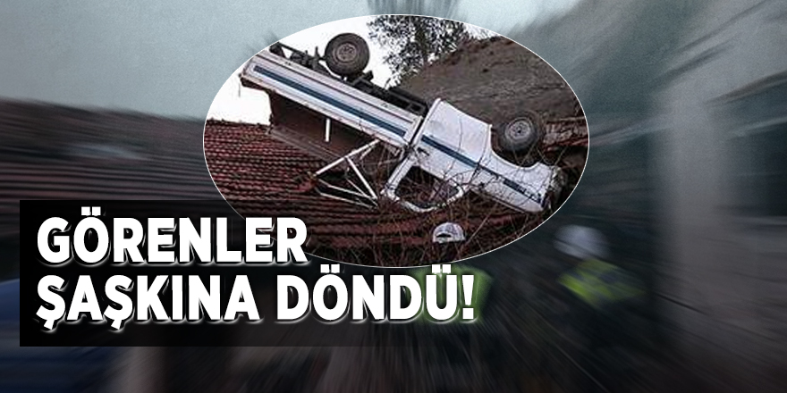 Görenler şaşkına döndü!