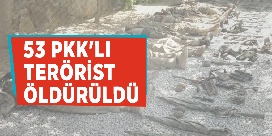 TSK: 53 PKK'lı terörist öldürüldü