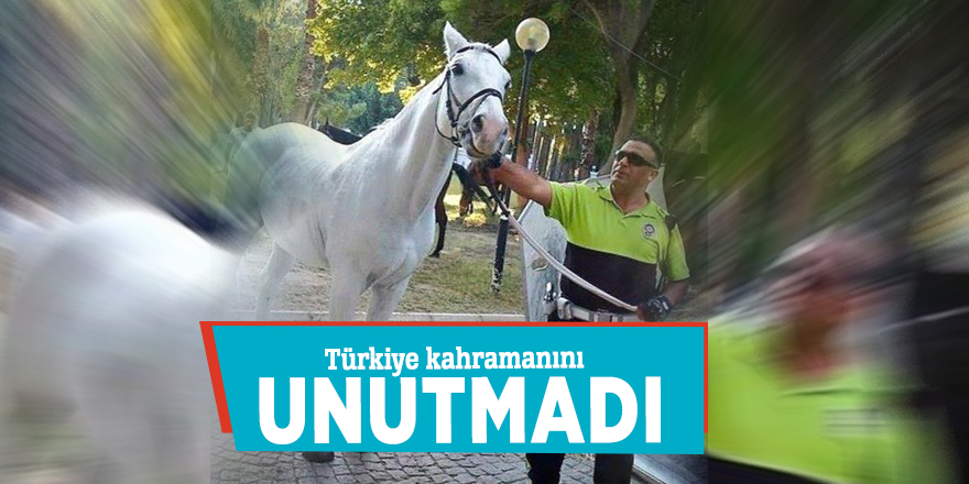 Türkiye kahramanını unutmadı