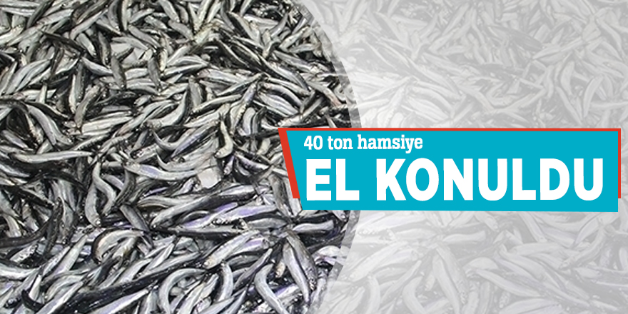 40 ton hamsiye el konuldu