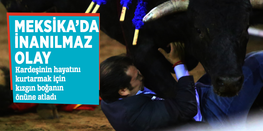 Meksika’da inanılmaz olay! Kardeşinin hayatını kurtarmak için kızgın boğanın...