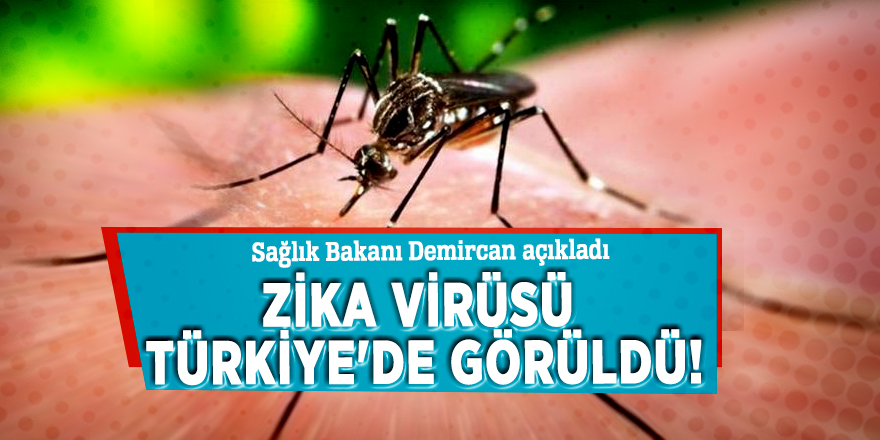 Bakan açıkladı: Zika virüsü Türkiye'de görüldü!