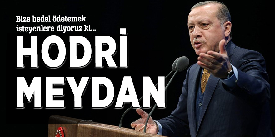 Cumhurbaşkanı Erdoğan: ''Bize bedel ödetmek isteyenlere diyoruzki hodri meydan''
