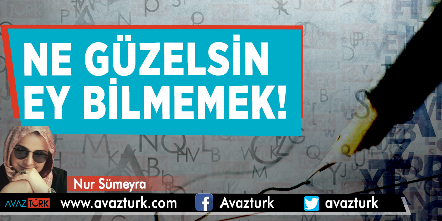 Ne güzelsin ey bilmemek!