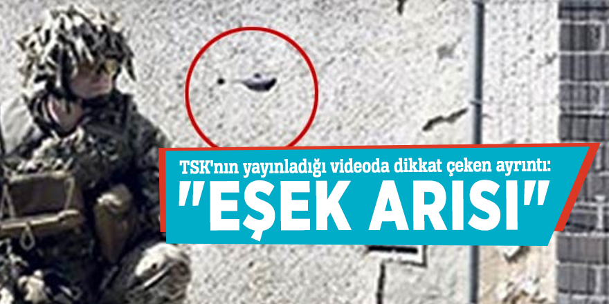 TSK'nın yayınladığı videoda dikkat çeken ayrıntı: "Eşek arısı"