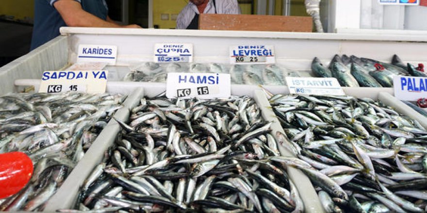Hamsinin kilogramı 8 liraya düştü