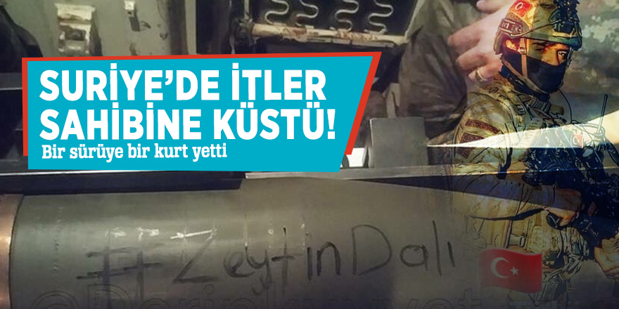 Suriye’de itler sahibine küstü! Bir sürüye bir kurt yetti