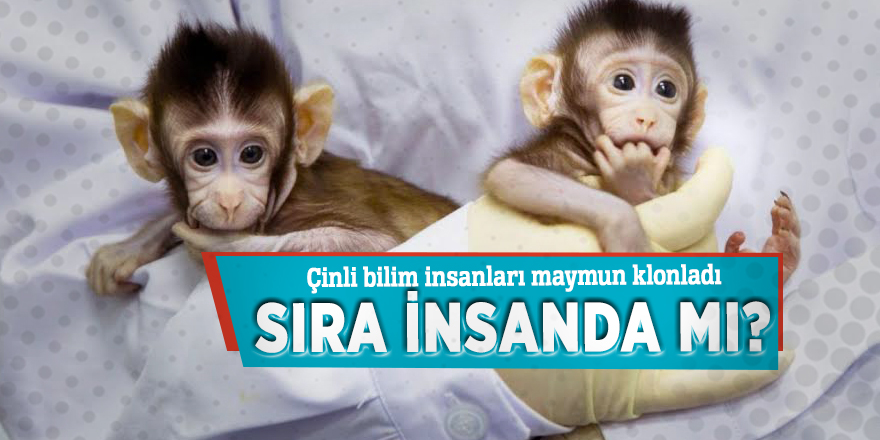 Çinli bilim insanları maymun klonladı!  Sıra insanda mı?