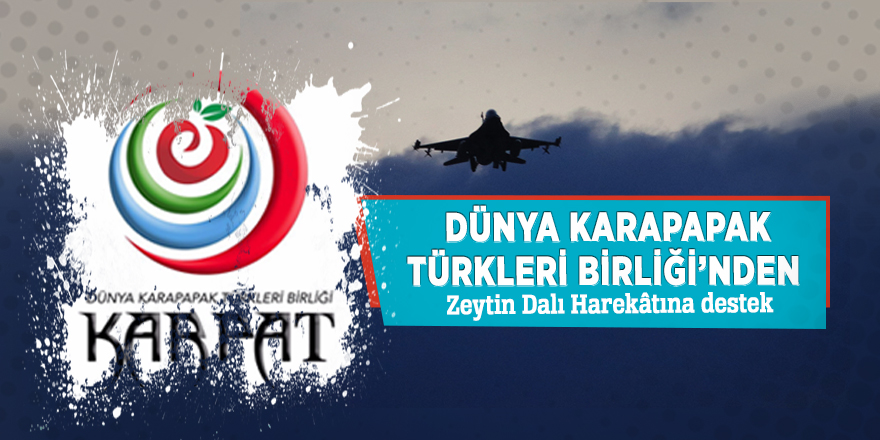 Dünya Karapapak Türkleri Birliği’nden Zeytin Dalı Harekâtına destek