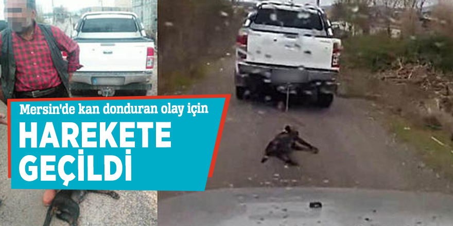 Mersin'de kan donduran olay için harekete geçildi