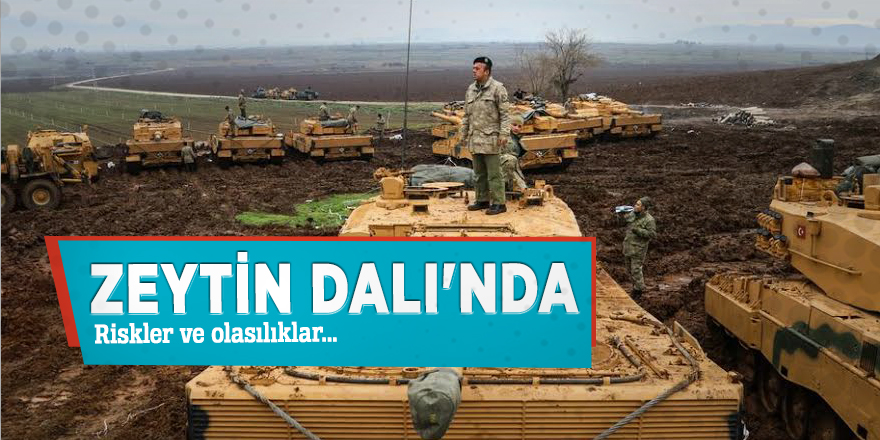 Zeytin Dalı'nda riskler ve olasılıklar