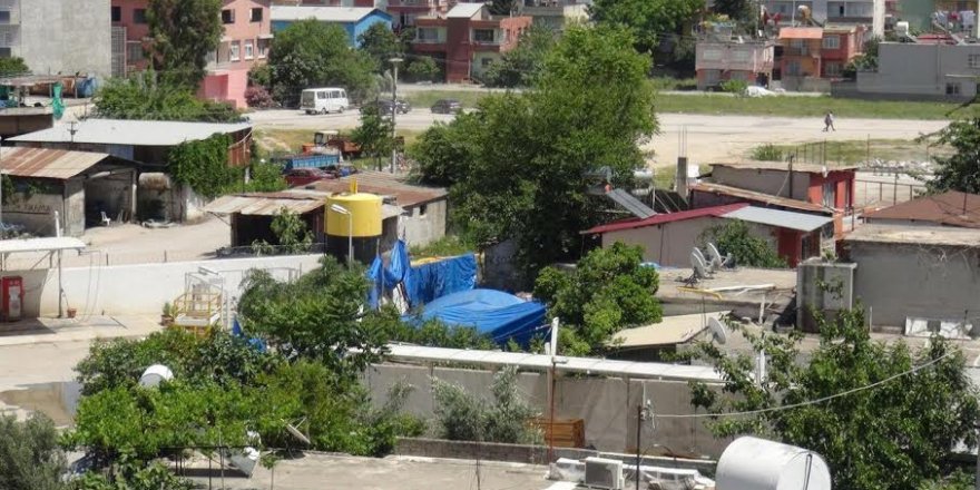 Gizemli kazıda yeni gelişme