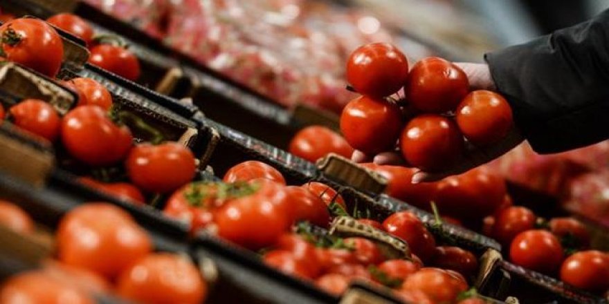 Rusya'dan yeni domates kararı