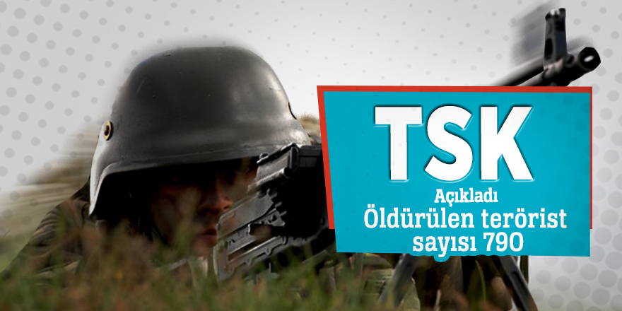 TSK açıkladı: Öldürülen terörist sayısı 790