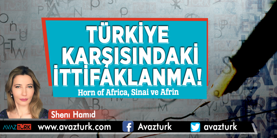 Türkiye Karşısındaki İttifaklanma! Horn of Africa, Sinai ve Afrin 