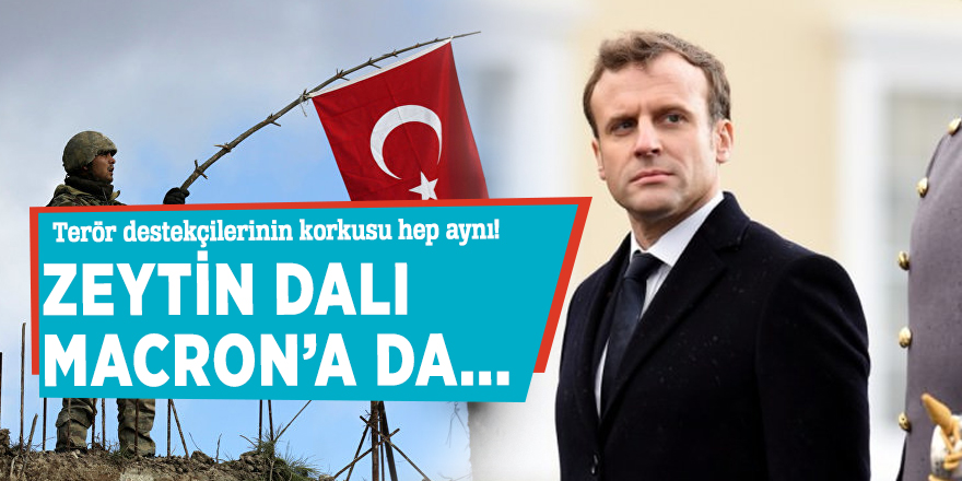 Zeytin Dalı Macron'un dengesini şaşırttı!