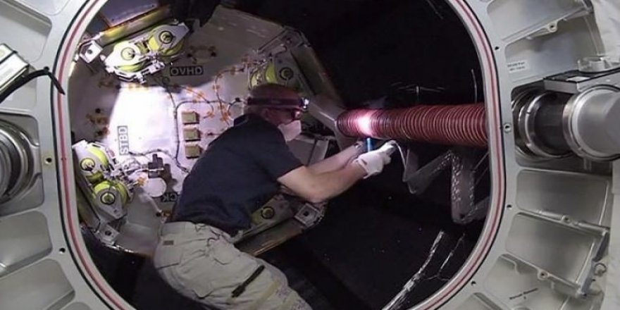 Japonlardan şaşırtan test! Gönüllü olacak kişilere 3 bin 500 dolar...