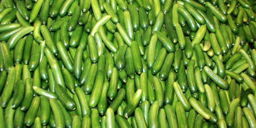 En fazla salatalığın fiyatı arttı