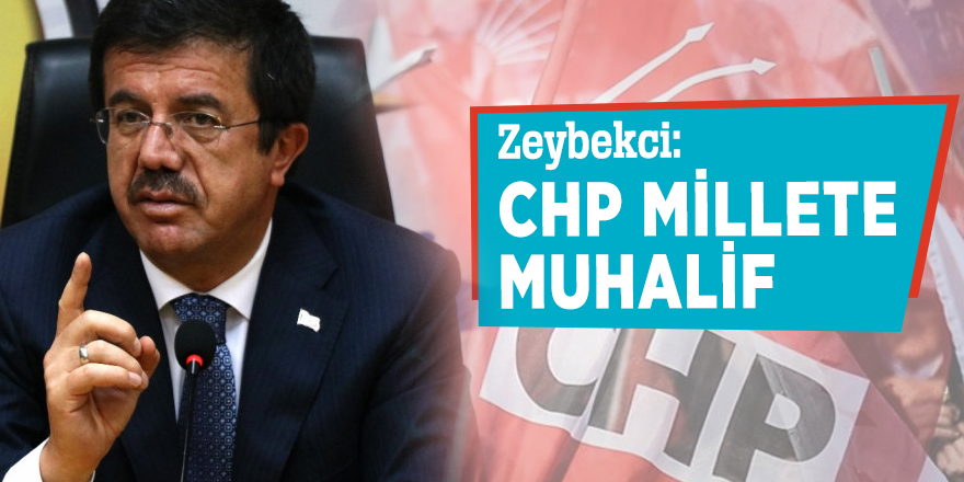 Zeybekci: CHP millete muhalif