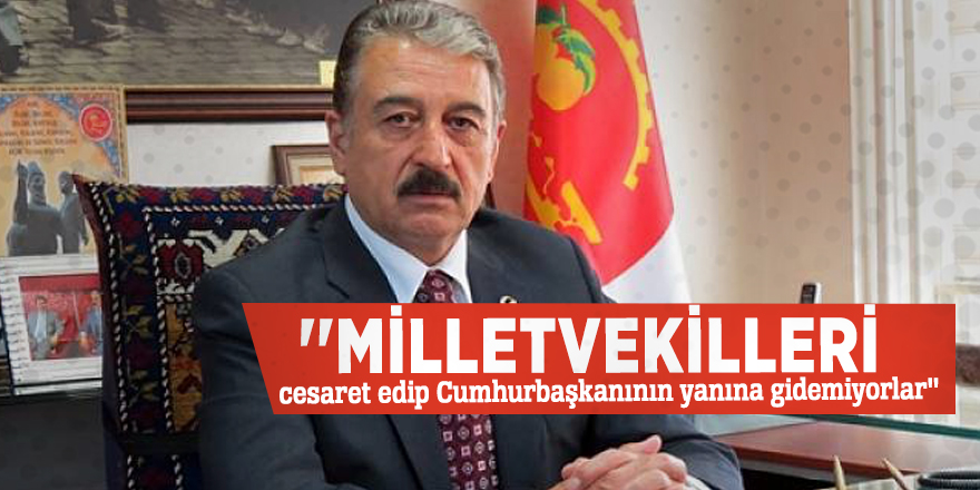 ​​​​​​​''Milletvekilleri cesaret edip Cumhurbaşkanının yanına gidemiyorlar''