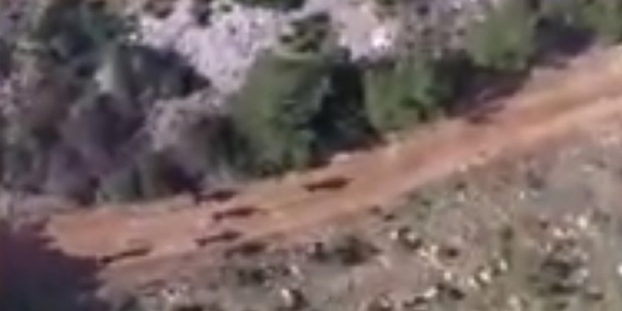 Ormana sakladılar! Drone ile bulundu