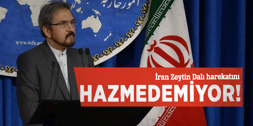 İran Zeytin Dalı harekatını hazmedemiyor!