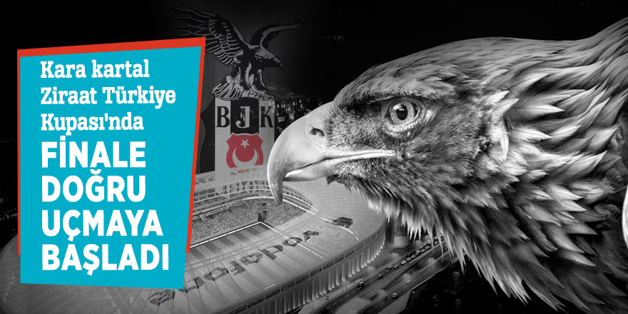 Kara kartal Ziraat Türkiye Kupası'nda finale doğru uçmaya başladı