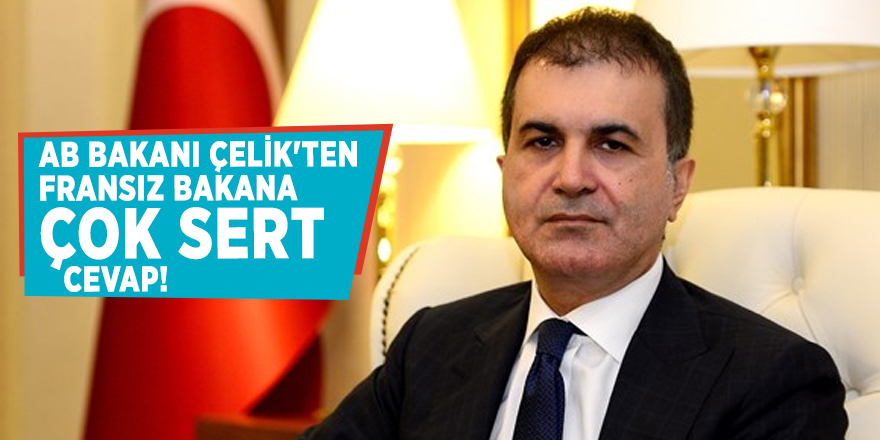 AB Bakanı Çelik'ten Fransız bakana çok sert cevap!