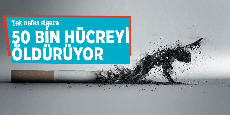 Tek nefes sigara 50 bin hücreyi öldürüyor