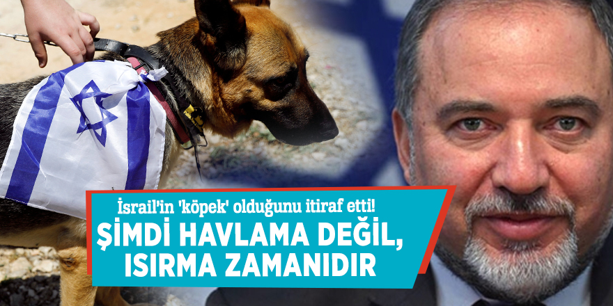Savunma Bakanı Lieberman İsrail'in 'köpek' olduğunu itiraf etti