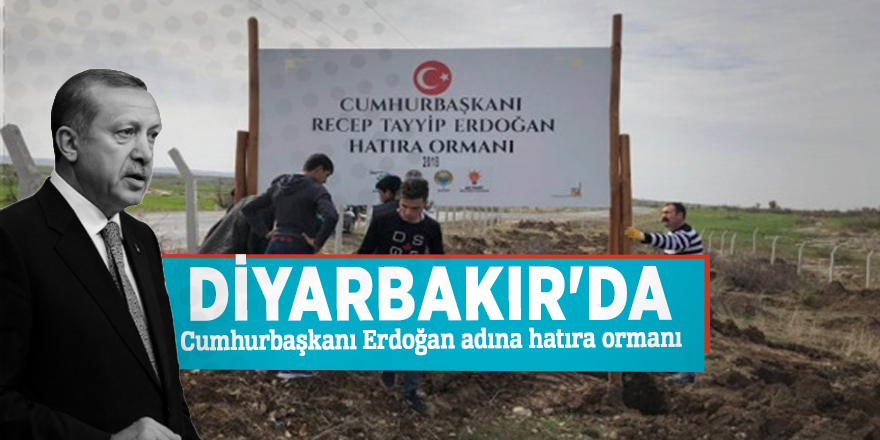 Diyarbakır'da Cumhurbaşkanı Erdoğan adına hatıra ormanı